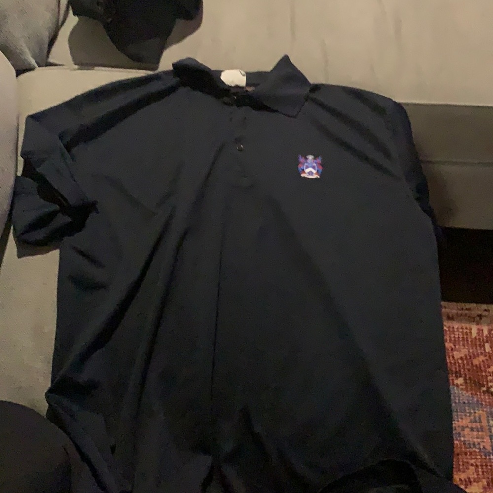 Blue Ponte men’s polo